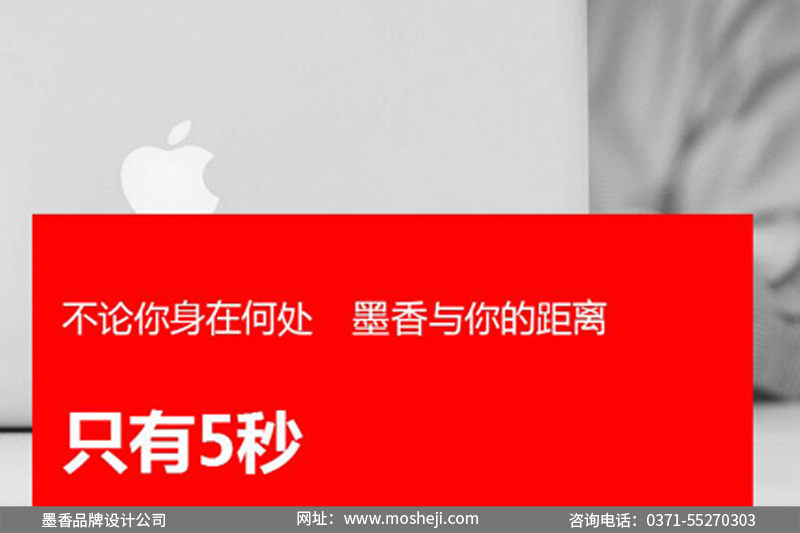 專業(yè)做企業(yè)畫冊設計印刷