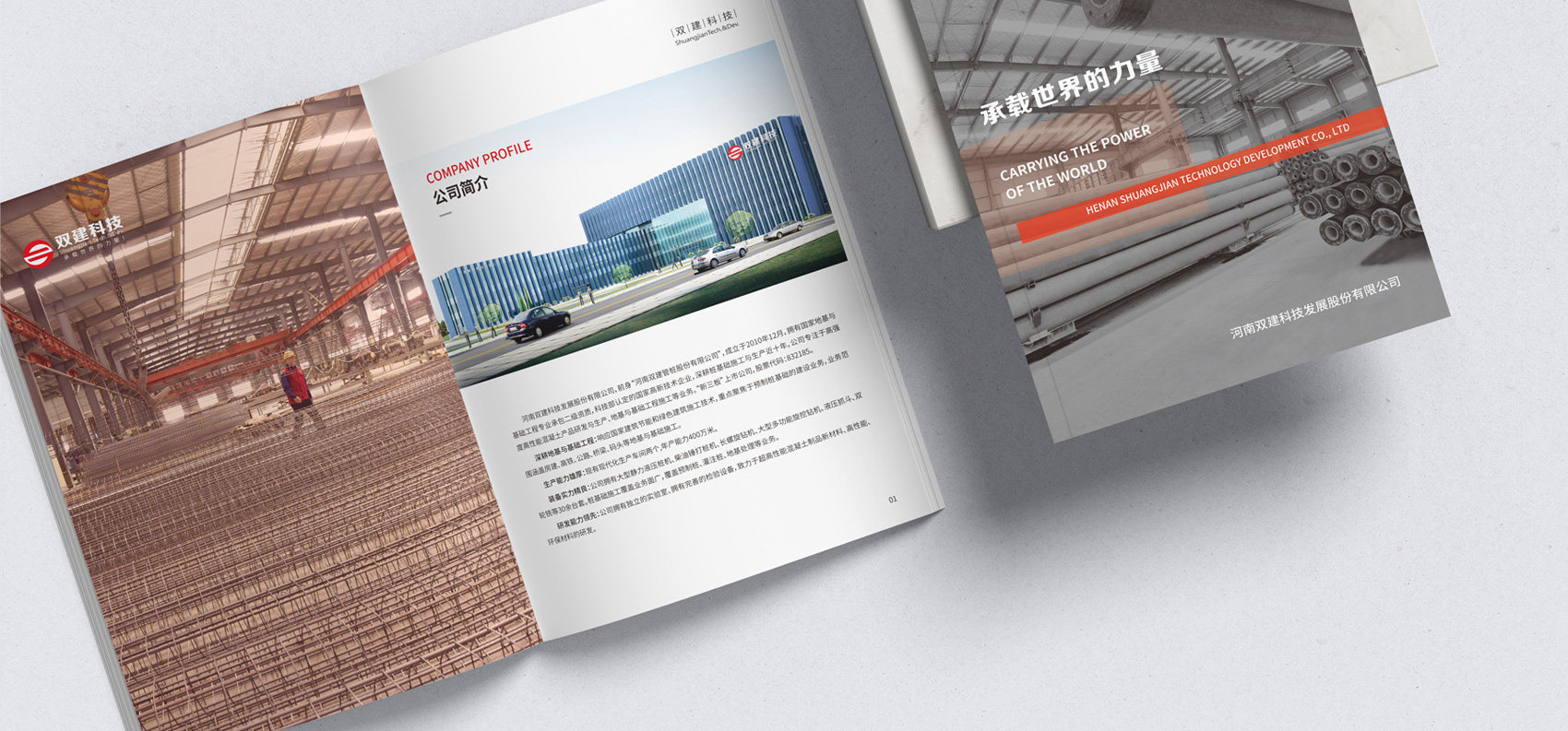 集團(tuán)畫冊設(shè)計(jì)印制專業(yè)公司